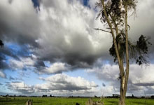 卡佩罗:米兰无缘欧冠是不可接受的 全队仅普利.