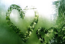 万博体育:Stricto:切尔西是十亿英镑的菜!.